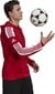 Meeste dressipluus Adidas Squadra 21 punane GP6435 L hind ja info | Jalgpalli varustus ja riided | hansapost.ee