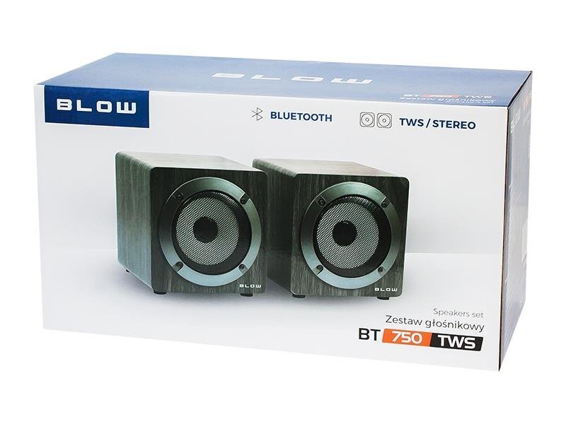 Blow BT750TWS 30-336 цена и информация | Kõlarid | hansapost.ee