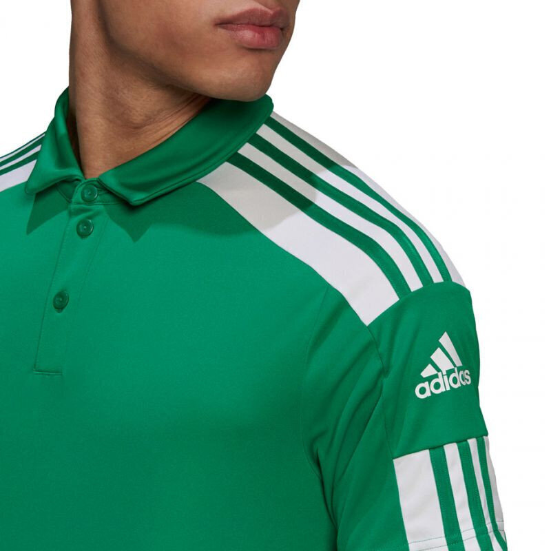 Meeste T-särk Adidas Squadra 21 Polo GP6430, roheline hind ja info | Spordiriided meestele | hansapost.ee