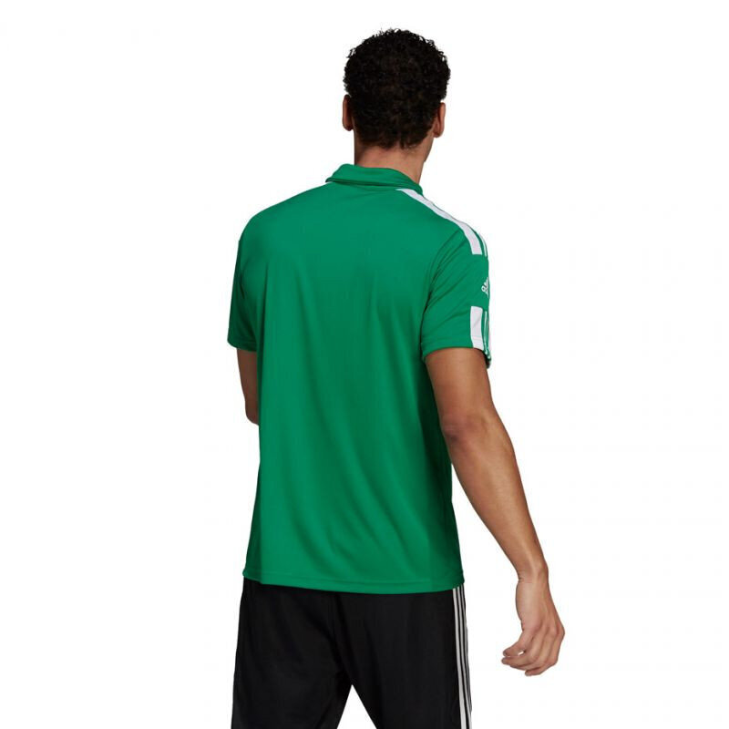 Meeste T-särk Adidas Squadra 21 Polo GP6430, roheline hind ja info | Spordiriided meestele | hansapost.ee