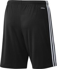 Meeste lühikesed püksid Adidas Squadra 21 GN5776, must hind ja info | Jalgpalli varustus ja riided | hansapost.ee