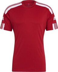 Мужская футболка с короткими рукавами Adidas Squadra 21 Jersey GN5722, красный цена и информация | Футбольная форма и другие товары | hansapost.ee