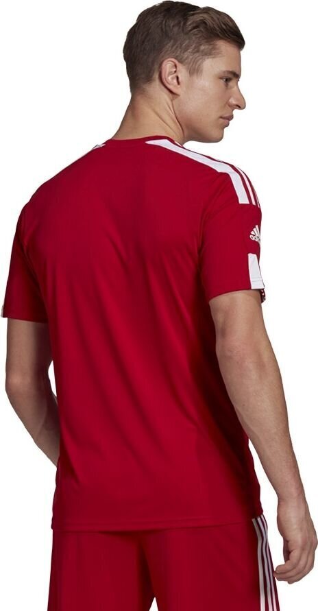 Meeste lühikeste varrukatega T-särk Adidas Squadra 21 Jersey GN5722, punane hind ja info | Jalgpalli varustus ja riided | hansapost.ee