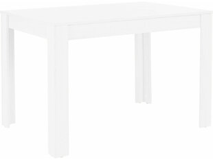 Обеденный стол Lori 120, белый цена и информация | Кухонные и обеденные столы | hansapost.ee
