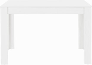 Обеденный стол Lori 120, белый цена и информация | Кухонные и обеденные столы | hansapost.ee