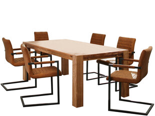 Söögitoamööbli komplekt Notio Living Ea 200/Sandra, toolid koos käetugedega, pruun/helepruun hind ja info | Söögilauakomplektid | hansapost.ee