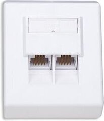 Seinapistik Intellinet 2x RJ45 UTP Cat6, valge hind ja info | Intellinet Kodumasinad | hansapost.ee