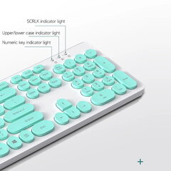 Juhtmeta klaviatuur (EN) + hiire komplekt T-Wolf TF770 Retro Punk PC 2,4 GHz, sinine ja valge hind ja info | Klaviatuurid | hansapost.ee