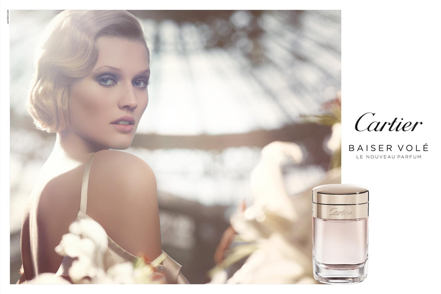 Cartier Baiser Vole EDP naistele 50 ml hind ja info | Parfüümid naistele | hansapost.ee