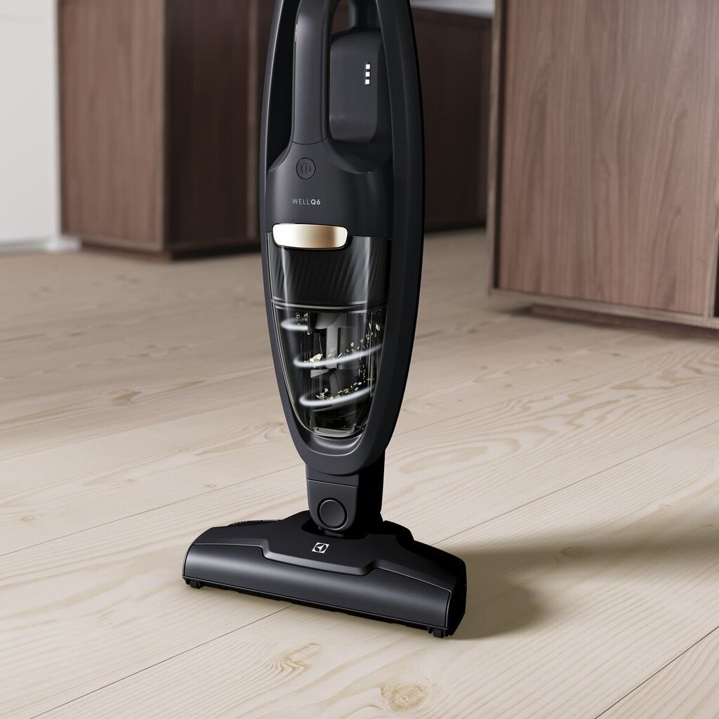 Electrolux WQ61-42GG hind ja info | Varstolmuimejad | hansapost.ee