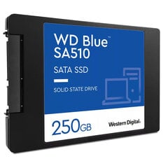 SSD|WESTERN DIGITAL|Blue SA510|250GB|SATA 3.0|Kirjutuskiirus 440 MBait/s|Lugemiskiirus 555 MBait/s|2,5"|TBW 100 TB|MTBF 1750000 tundi|WDS250G3B0A hind ja info | Sisemised kõvakettad | hansapost.ee