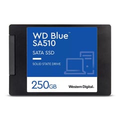 SSD|WESTERN DIGITAL|Blue SA510|250GB|SATA 3.0|Kirjutuskiirus 440 MBait/s|Lugemiskiirus 555 MBait/s|2,5"|TBW 100 TB|MTBF 1750000 tundi|WDS250G3B0A hind ja info | Sisemised kõvakettad | hansapost.ee