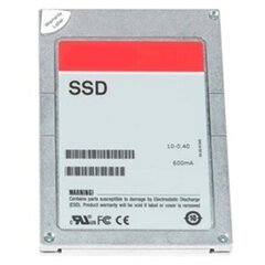 Жесткий диск Dell 345-BCXY цена и информация | Внутренние жёсткие диски (HDD, SSD, Hybrid) | hansapost.ee
