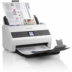 Epson B11B251401 цена и информация | Сканер | hansapost.ee