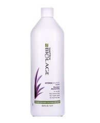 Niisutav šampoon Matrix Biolage Hydrasource 1000 ml цена и информация | Шампуни | hansapost.ee