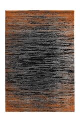 Vaip Pierre Cardin Pablo 120x170 cm price and information | Carpets | hansapost.ee