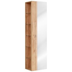 Vannitoakapp Hakano Barios, 45x170 cm, pruun цена и информация | Шкафчики для ванной | hansapost.ee