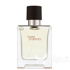 Tualettvesi Hermes Terre D'hermes EDT meestele 30 ml цена и информация | Мужские духи | hansapost.ee