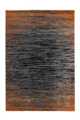 Vaip Pierre Cardin Pablo 160x230 cm price and information | Carpets | hansapost.ee