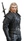 Dark Horse The Witcher Geralt hind ja info | Fännitooted mänguritele | hansapost.ee