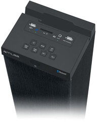 Muse M-1250 BT hind ja info | Muse Heli- ja videoseadmed, klaviatuurid ja hiired | hansapost.ee