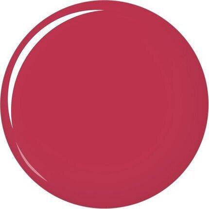 Huulepulk Shiseido VisionAiry Gel 1.6 g, 204 Scarlet Rush hind ja info | Huulekosmeetika | hansapost.ee