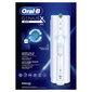 Oral-B 4210201396987 hind ja info | Elektrilised hambaharjad | hansapost.ee