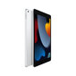 Apple iPad 10.2" Wi-Fi 256GB - Silver 9th Gen MK2P3 цена и информация | Tahvelarvutid | hansapost.ee