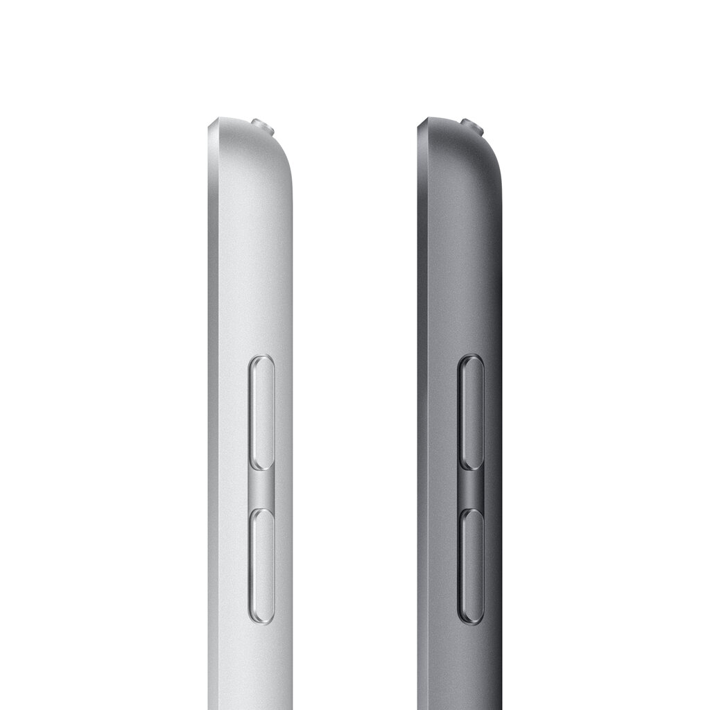 Apple iPad 10.2" Wi-Fi 256GB - Silver 9th Gen MK2P3 цена и информация | Tahvelarvutid | hansapost.ee