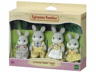 Набор зайцев Sylvanian Families  цена и информация | Игрушки для девочек | hansapost.ee