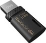 Team Group M211 64 GB USB 3.2 hind ja info | Mälupulgad | hansapost.ee