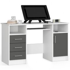 Письменный стол NORE Ana, серый цвет цена и информация | Компьютерные, письменные столы | hansapost.ee
