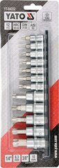 Võtmete komplekt Torx aukudega 1/4" 3/8" T8-T55 Yato (YT-04332), 12 tk hind ja info | Käsitööriistad | hansapost.ee