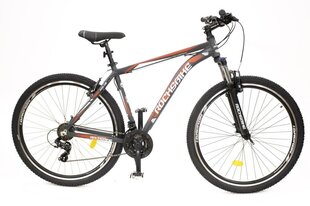 BICYCLE 29" AIM 1.2 GREY/RED/8681933422019 ROCKSBIKE hind ja info | Rocksbike Sport, puhkus, matkamine | hansapost.ee