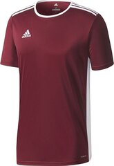 Meeste T-särk Adidas Entrada 18 Jersey CD8430, Burgundia цена и информация | Футбольная форма и другие товары | hansapost.ee