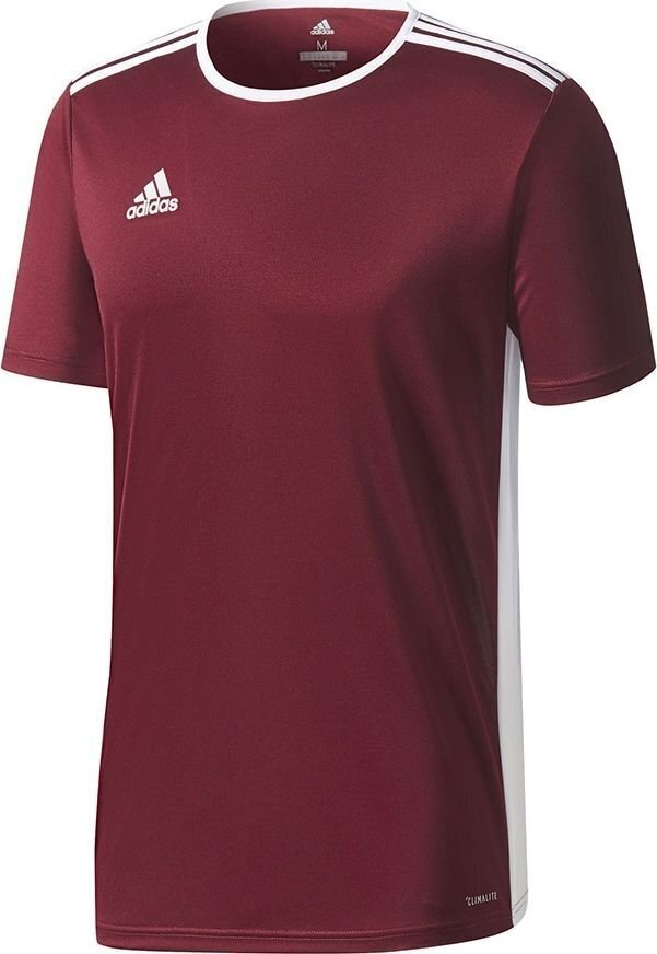 Meeste T-särk Adidas Entrada 18 Jersey CD8430, Burgundia цена и информация | Jalgpalli varustus ja riided | hansapost.ee