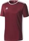 Meeste T-särk Adidas Entrada 18 Jersey CD8430, Burgundia hind ja info | Jalgpalli varustus ja riided | hansapost.ee