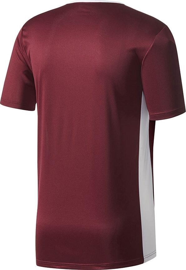 Meeste T-särk Adidas Entrada 18 Jersey CD8430, Burgundia цена и информация | Jalgpalli varustus ja riided | hansapost.ee