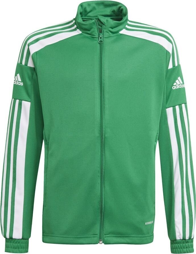 Laste kampsun Adidas Squadra 21 GP6456, roheline, 140 cm price and information | Jalgpalli varustus ja riided | hansapost.ee