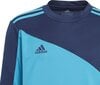 Laste väravavahi kampsun Adidas Squadra 21 GN6947, sinine цена и информация | Jalgpalli varustus ja riided | hansapost.ee
