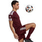 Meeste lühikeste varrukatega pluus Adidas Squadra 21 Jersey GN8091, burgundia värv hind ja info | Jalgpalli varustus ja riided | hansapost.ee