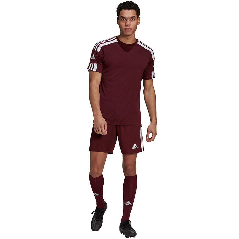 Meeste lühikeste varrukatega pluus Adidas Squadra 21 Jersey GN8091, burgundia värv hind ja info | Jalgpalli varustus ja riided | hansapost.ee