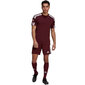 Meeste lühikeste varrukatega pluus Adidas Squadra 21 Jersey GN8091, burgundia värv цена и информация | Jalgpalli varustus ja riided | hansapost.ee