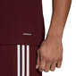 Meeste lühikeste varrukatega pluus Adidas Squadra 21 Jersey GN8091, burgundia värv hind ja info | Jalgpalli varustus ja riided | hansapost.ee