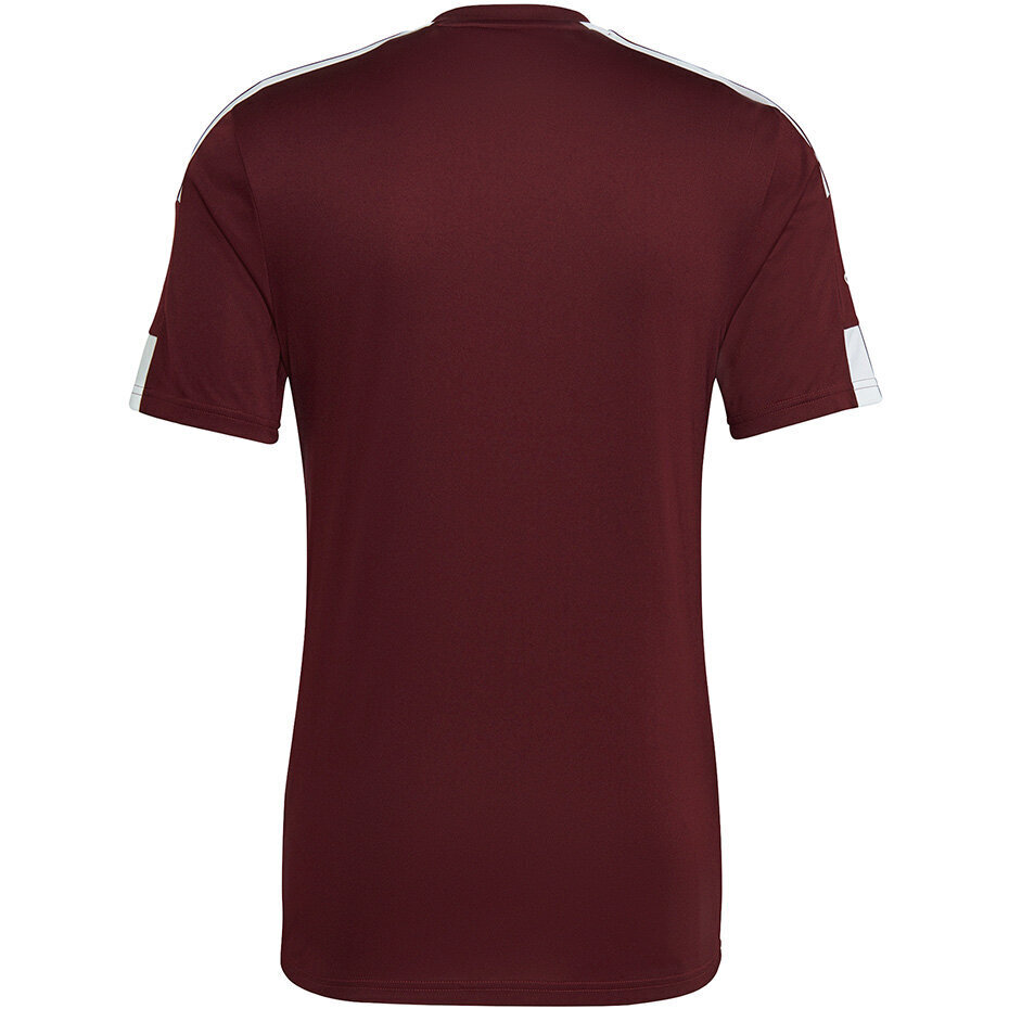 Meeste lühikeste varrukatega pluus Adidas Squadra 21 Jersey GN8091, burgundia värv hind ja info | Jalgpalli varustus ja riided | hansapost.ee