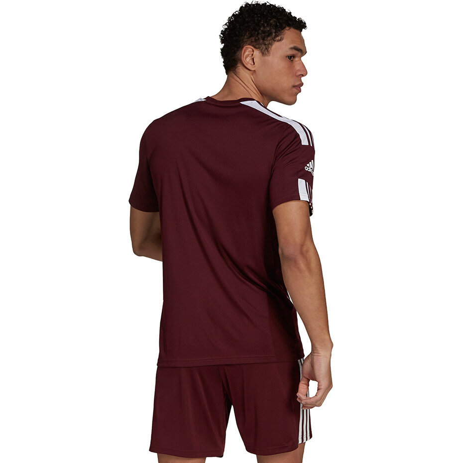 Meeste lühikeste varrukatega pluus Adidas Squadra 21 Jersey GN8091, burgundia värv цена и информация | Jalgpalli varustus ja riided | hansapost.ee