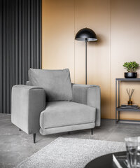 Кресло NORE Dalia, серый цвет цена и информация | Кресла | hansapost.ee