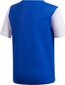 T-särk adidas Estro 19 Jersey sinine DP3231/DP3217 цена и информация | Jalgpalli varustus ja riided | hansapost.ee
