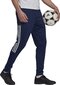 Meeste spordipüksid Adidas Tiro 21 GE5425, tumesinine цена и информация | Jalgpalli varustus ja riided | hansapost.ee