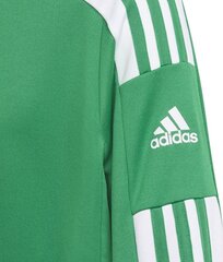 Laste kampsun Adidas Squadra 21 GP6456, roheline, 152 cm hind ja info | Jalgpalli varustus ja riided | hansapost.ee